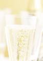 Decadry DSC-699 Champagne Glass  A4, 90g, 100 sheets