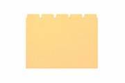 BIELLA 210755.2 Cartes-quides neutre A7 jaune, 25 divisions