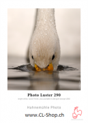 Hahnemhle 10 641 983 Photo Luster 290g, A2, 25 Blatt