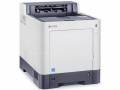 Ecosys P6035